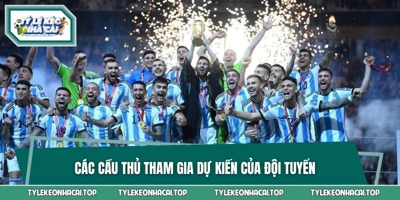 Các cầu thủ tham gia dự kiến của đội tuyển