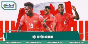 Đội Tuyển Canada - Khát Vọng Vươn Mình Tại World Cup 2026