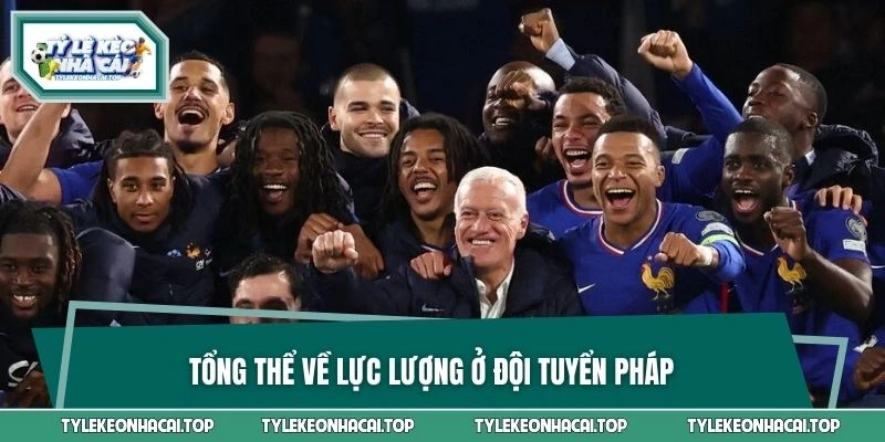 Tổng thể về lực lượng ở đội tuyển Pháp